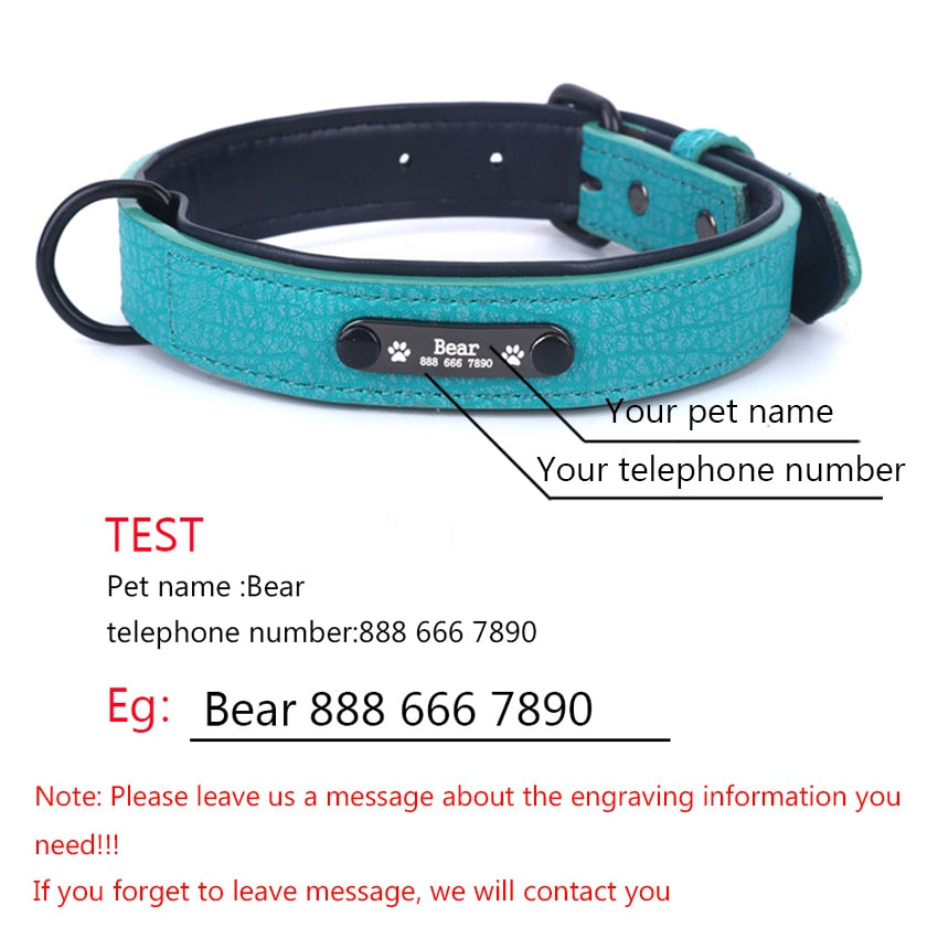 Personalized Adjustable Dog Collars