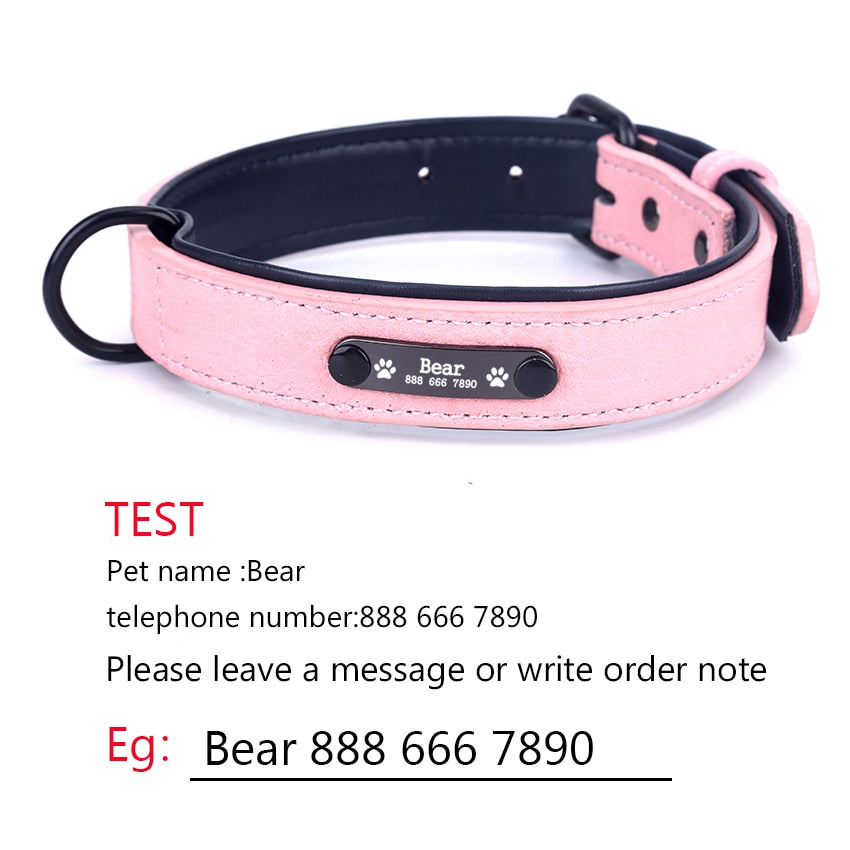 Personalized Adjustable Dog Collars
